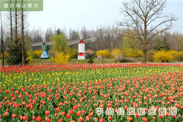 Zhongshan park